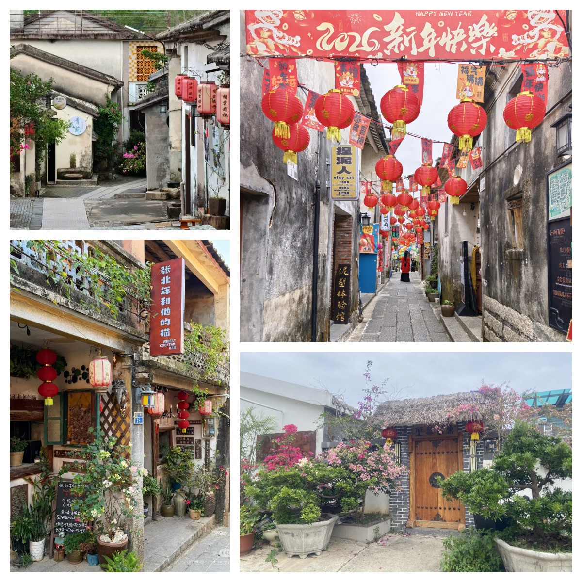 1773284786100318.jpg 2.jpg